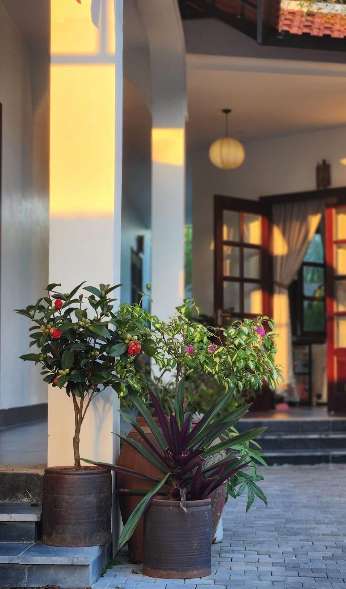 Anio Ha Giang Hotel Eksteriør billede